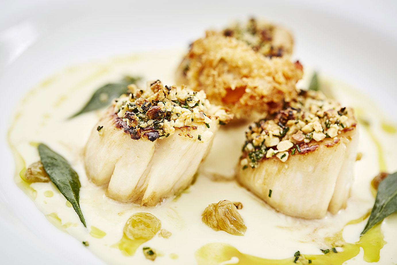 Roast Scallop with a Hazelnut Crust and Cauliflower Velouté Country Range